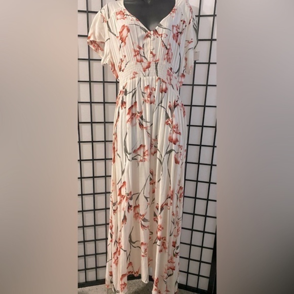 Tanzara long  Dress NWT
